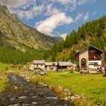 Il torrente Devero a Crampiolo